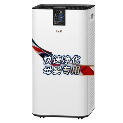 IAM除甲醛净化器