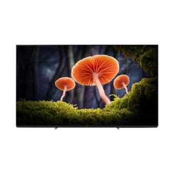 索尼液晶kd-49x9500h