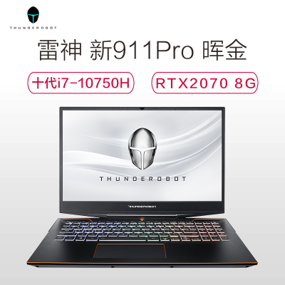 雷神（ThundeRobot）911 Pro-1075016G512G20708GWBZ