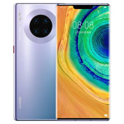 HUAWEI Mate30Pro（5G）(LIO-AN00)8GB+256GB星河银全网通版手机