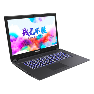 神舟(HASEE)战神GX7-CT5DS 英特尔酷睿i5-9400 GTX1660Ti 94%色域120Hz17.3英寸