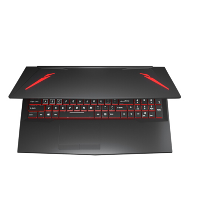 神舟(HASEE)战神TX7-CT5DS 英特尔酷睿i5-9400 GTX1660Ti 72%色域144Hz16.1英寸