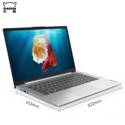 Lenovo 小新Air-14IIL 2020GRCI516G51210C