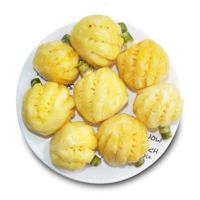 博多客 色泽金黄菠萝