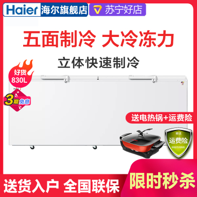 海尔(Haier) BC/BD-830HCZ 830升冰柜 商用大容量卧式冷柜