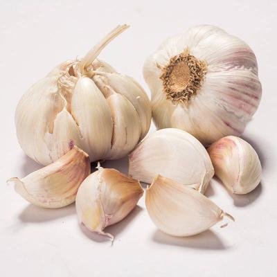 大蒜2.5斤的