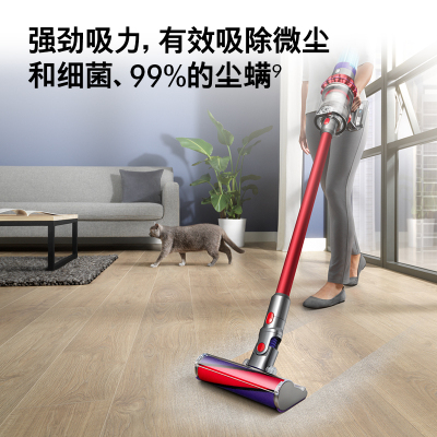 戴森（Dyson）手持吸尘器 V10 Fluffy Extra 298989-01