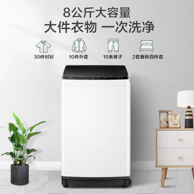 美的(Midea) MB80ECO1 8公斤波轮洗衣机