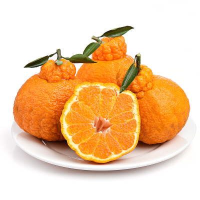 鲜菓篮 四川丑橘