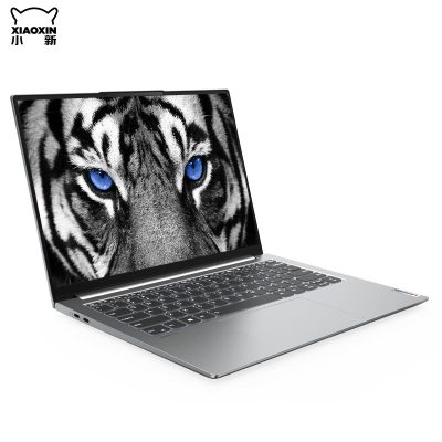 Lenovo 小新Pro 14ITL 2021SIXI516G51210C