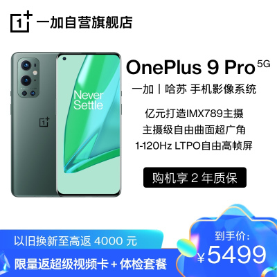 OnePlus 9 Pro 绿洲 8GB+256GB
