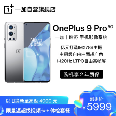 OnePlus 9 Pro 闪银 12GB+256GB