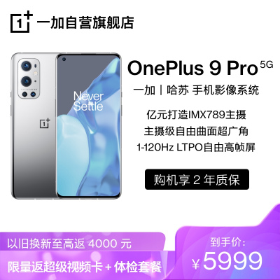 OnePlus 9 Pro 闪银 12GB+256GB