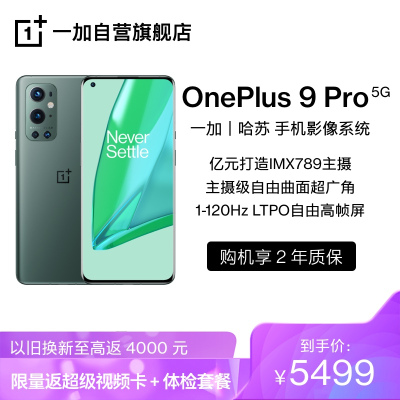 OnePlus 9 Pro 绿洲 8GB+256GB