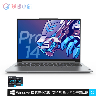 Lenovo 小新Pro 14IHU 2021SIXI516G51210C