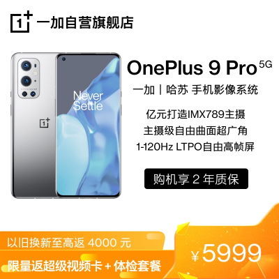 OnePlus 9 Pro 闪银 12GB+256GB