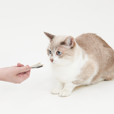 零食-猫用-冻干-多春鱼