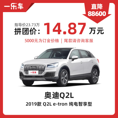 奥迪 Q2L e-tron 2019款 Q2L e-tron 纯电智享型