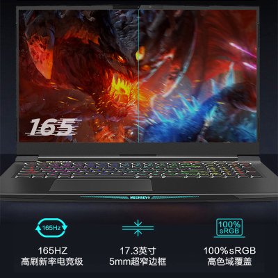 机械革命(MECHREVO)X9Ti-R 17.3英寸游戏本(i7-9750H 16G 1TB+512GB固态 6G独显