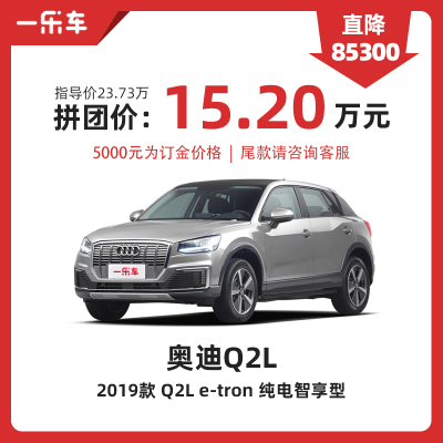 奥迪 Q2L e-tron 2019款 Q2L e-tron 纯电智享型