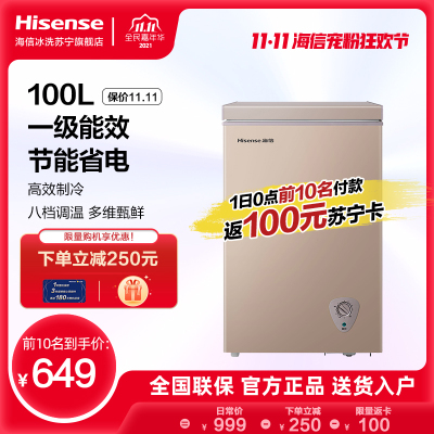 海信（Hisense）冰柜 BD/BC-100NUD（钛空金）