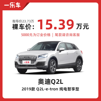 奥迪 Q2L e-tron 2019款 Q2L e-tron 纯电智享型