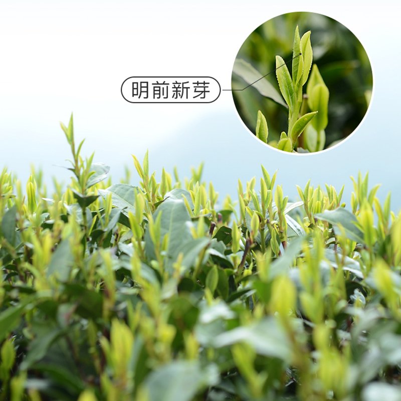 艺福堂龙井口碑茶200g/罐