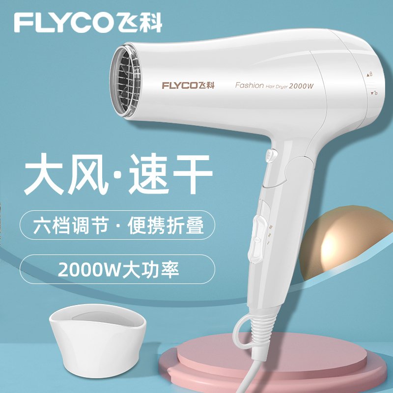 飞科 (FLYCO) 电吹风 FH6232