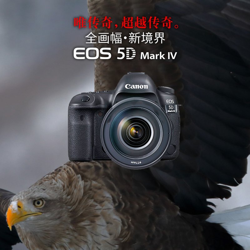 佳能(Canon)EOS 5D Mark IV EF 24-105mm f/4L II IS USM单反相机镜头套装