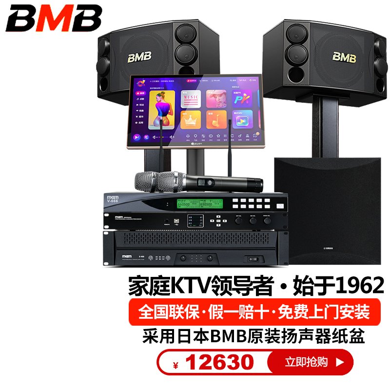 BMB2000 2对大功率配置 演唱会音箱套装大型户外演出音箱套装室外演出音箱套装大型会议室音响套装1000W不带点歌机