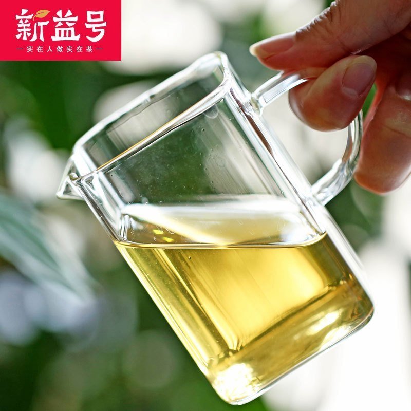 新益号 迷你沱茶 普洱茶小沱茶 500克 生茶