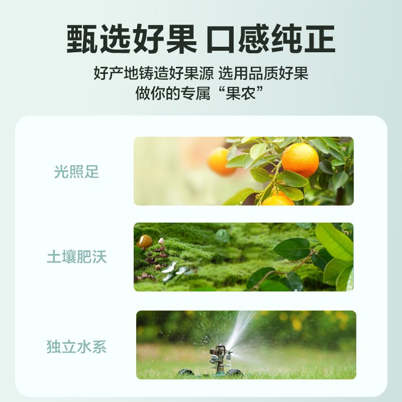 汇源 100%橙果汁1L*6盒 便携装 果汁饮料