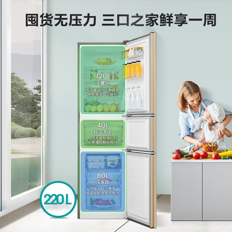 海信冰箱BCD-220D/Q（琥珀金）