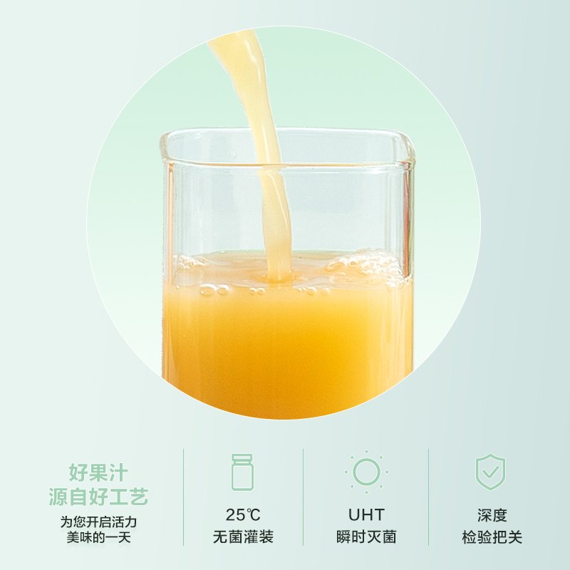 汇源 100%葡萄果汁1L*6盒 便携装果汁饮料