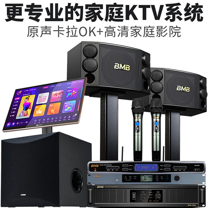 BMB880音箱套装 家庭卡拉OK套装 点歌机 专业KTV音响套装 BBS话筒雷客点歌机专业前后级搭配套装 800W功放