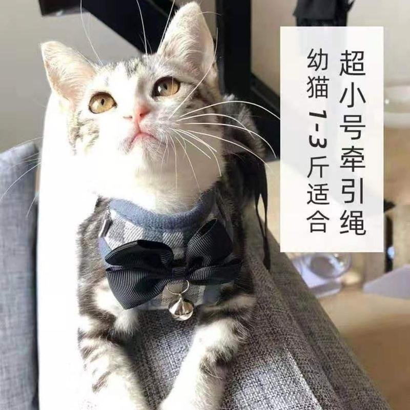 猫咪牵引绳遛猫绳可调节防挣脱猫绳小猫链子四季通用 网红款-小草绿 L：14斤以上