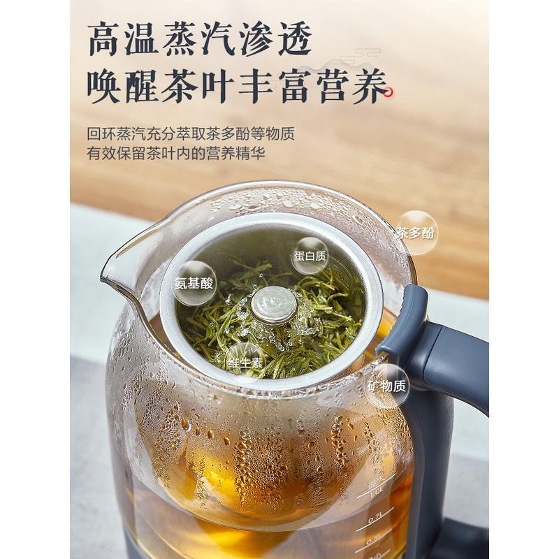 小熊煮茶器家用蒸汽喷淋式自动保温玻璃黑茶普洱办公室养生煮茶壶 蓝色