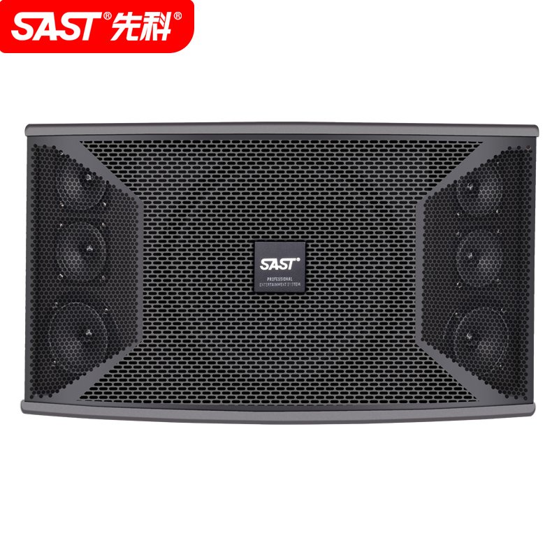 先科（SAST)A80V 家庭ktv音响套装卡拉ok音箱