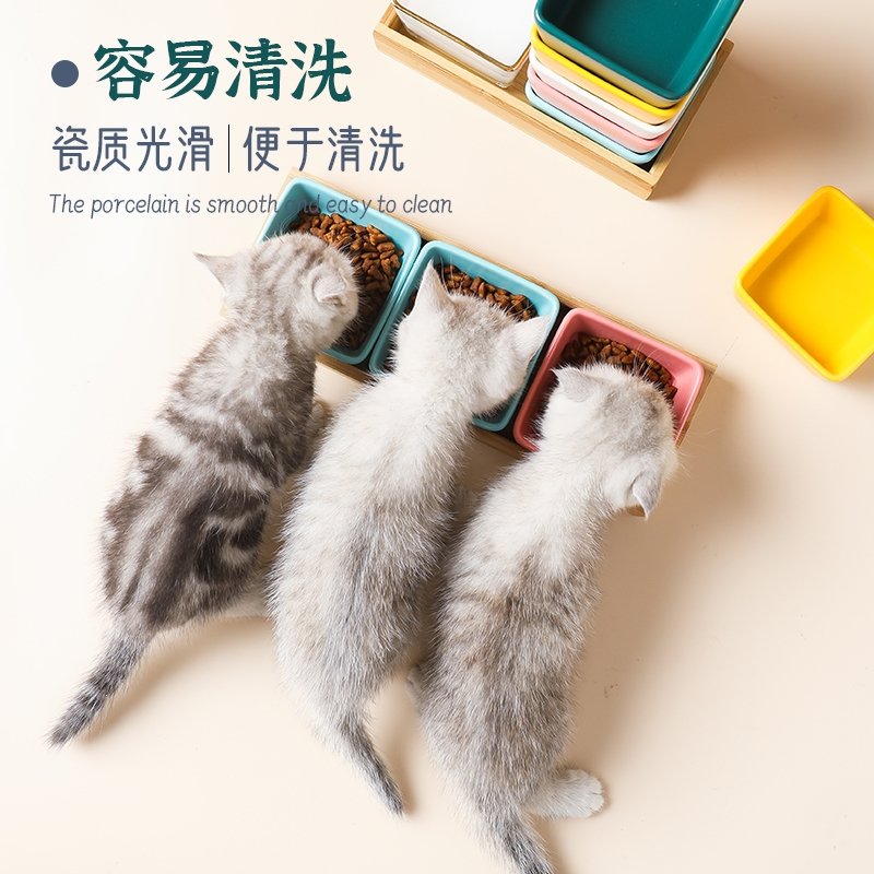 小猫吃饭的碗陶瓷双碗防打翻幼猫食盆小型米妮猫咪喝奶罐头零食碗(8rP)_0_0