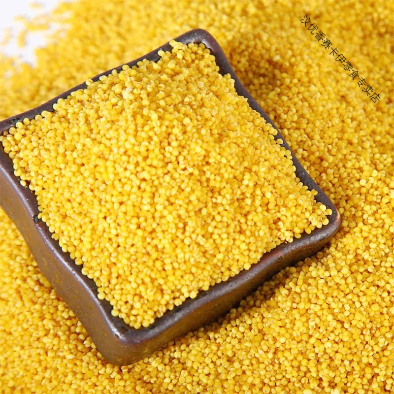 东北辽宁朝阳正宗黄小米 真空袋装小黄米杂粮食用大金苗新米 3斤特惠