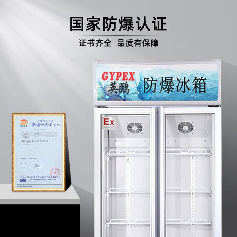 英鹏(GYPEX)BL-200LC500L双门防爆冷藏柜，实验室0~10℃冷藏防爆玻璃门冰箱 IIB/IIC