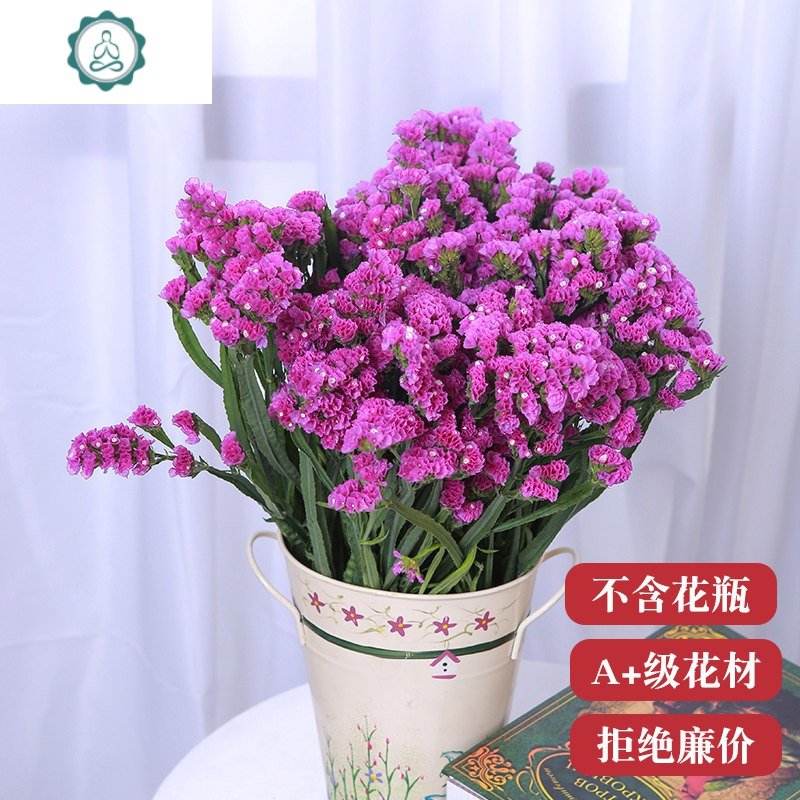 云南大束满天星勿忘我鲜花干花真花花束天然干插花论斤卖永生花 封后 红色勿忘我【2斤装买2束送配草】