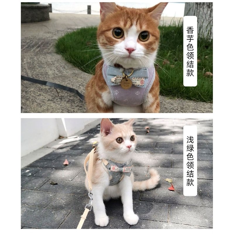 猫咪牵引绳米妮小猫幼猫遛猫绳迷你超小防挣脱猫链子舒适材质背心式绳(ieW)_3_1