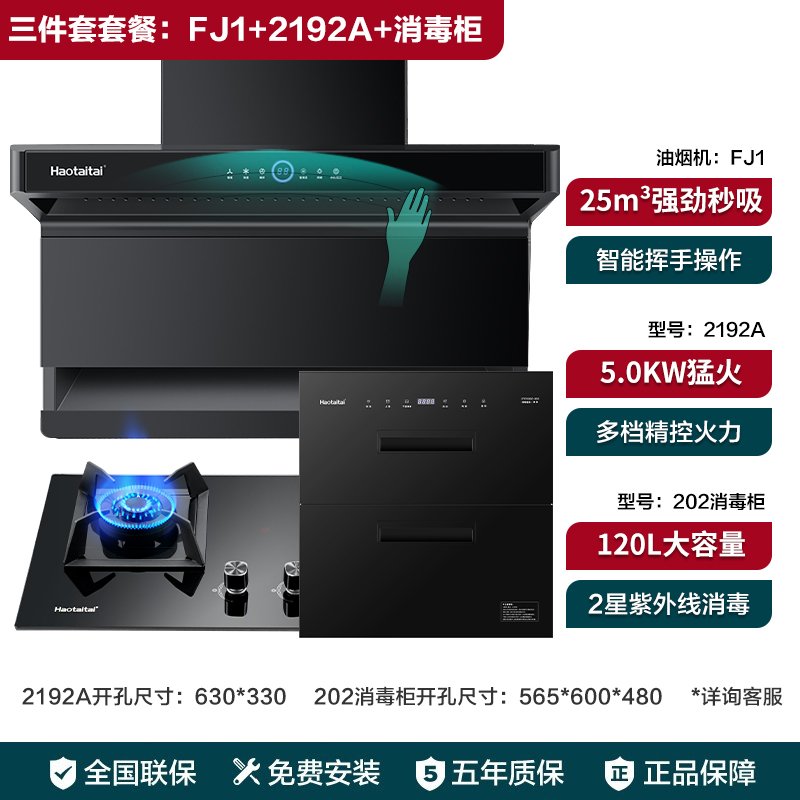 烟灶三件套FJ1+2192A+120L消毒柜-天然气