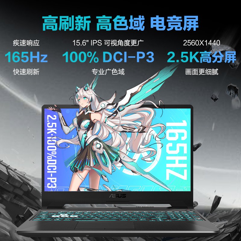 硕(ASUS) 天选FA506 15.6英寸游戏本笔记本电脑 新锐龙 8核R7-4800H RTX2060版