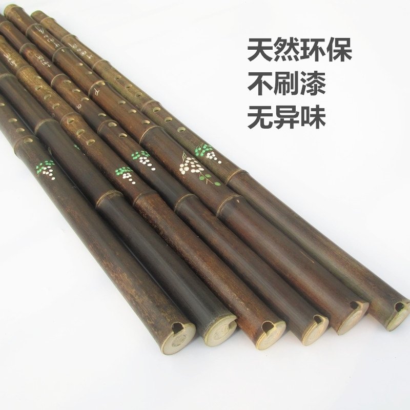萧乐器初学入门成人零基础玉萧古萧长萧紫竹箫古风洞箫八孔g调f调(dff)_1