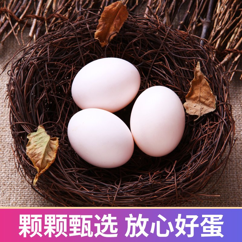淘美--鸽子蛋10枚