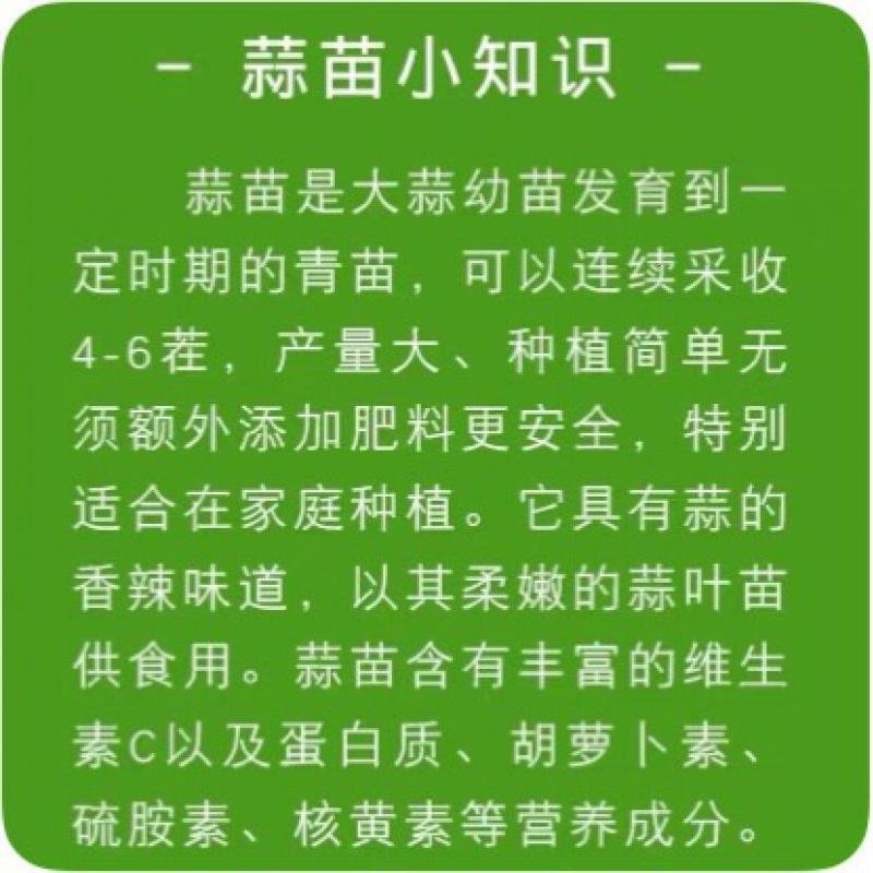 种蒜苗神器水培蒜苗容器家庭室内阳台大蒜种植盘栽种养蒜苗盘 单排7层（加高）+7套盘+4轮_764