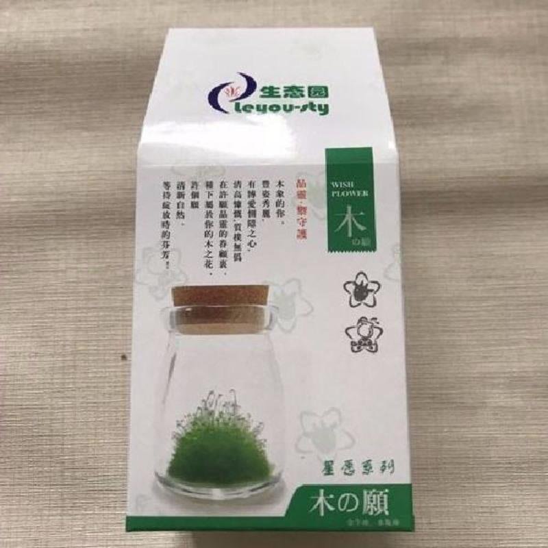 节日礼品DIY许愿精灵许愿晶灵种水晶种植许愿瓶生长科教玩具实验 祝福绿（金牛-水瓶）无灯66V128