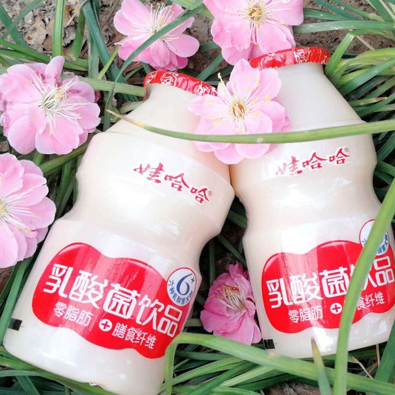 娃哈哈乳酸菌饮品100ml*20瓶